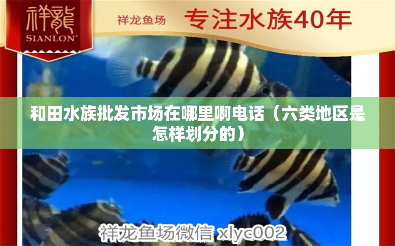 和田水族批发市场在哪里啊电话（六类地区是怎样划分的） 委内瑞拉奥里诺三间鱼苗 第1张