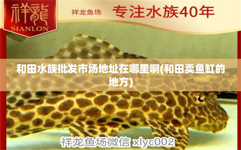 和田水族批发市场地址在哪里啊(和田卖鱼缸的地方) 观赏鱼水族批发市场