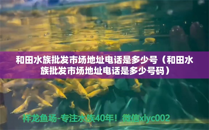 和田水族批发市场地址电话是多少号（和田水族批发市场地址电话是多少号码）