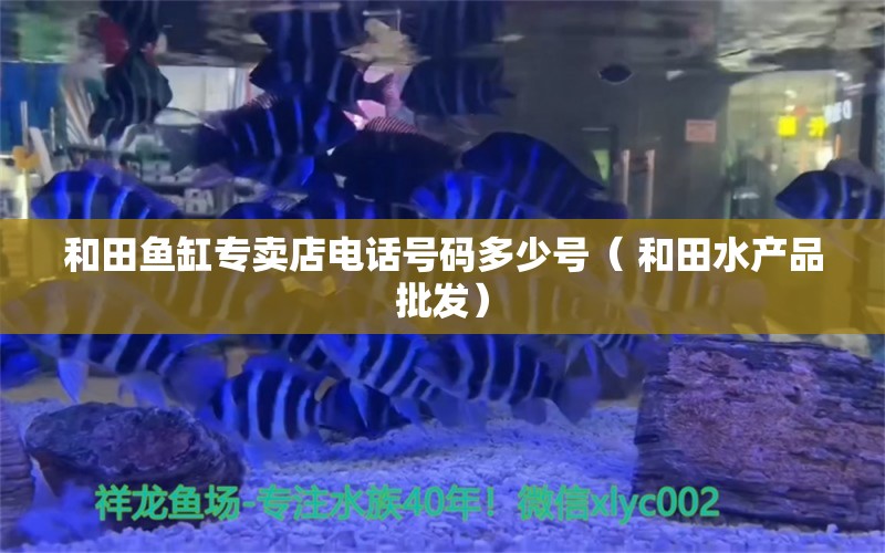 和田鱼缸专卖店电话号码多少号（ 和田水产品批发）