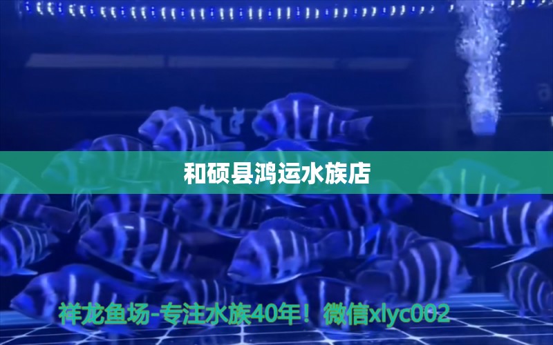 和硕县鸿运水族店 全国水族馆企业名录