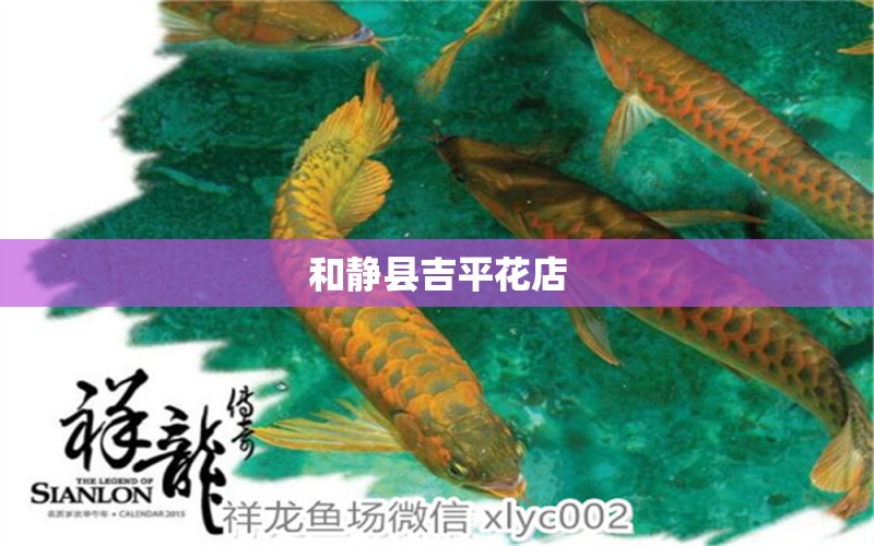 和静县吉平花店 全国水族馆企业名录