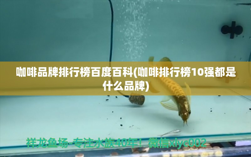 咖啡品牌排行榜百度百科(咖啡排行榜10强都是什么品牌)