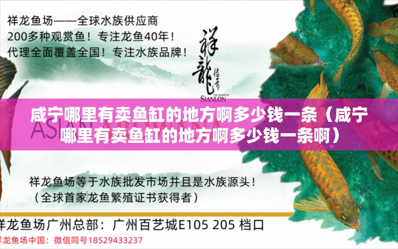 咸宁哪里有卖鱼缸的地方啊多少钱一条（咸宁哪里有卖鱼缸的地方啊多少钱一条啊） 祥龙水族医院