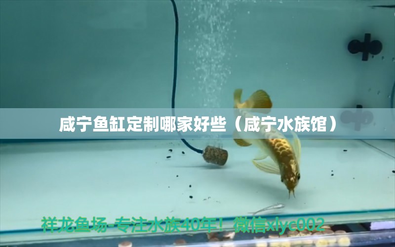 咸宁鱼缸定制哪家好些（咸宁水族馆）