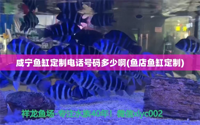 咸宁鱼缸定制电话号码多少啊(鱼店鱼缸定制)