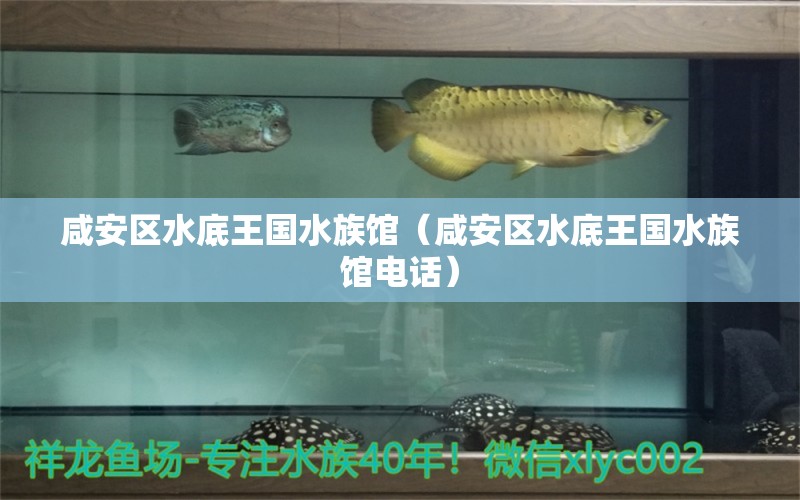 咸安区水底王国水族馆（咸安区水底王国水族馆电话） 全国水族馆企业名录