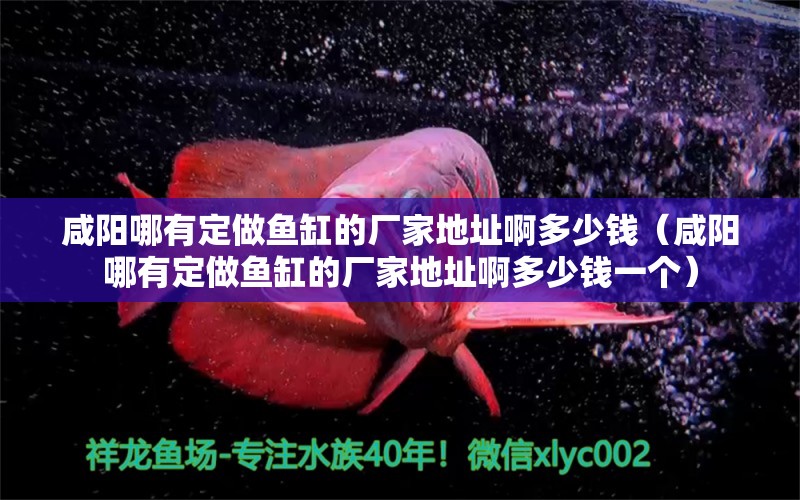 咸阳哪有定做鱼缸的厂家地址啊多少钱（咸阳哪有定做鱼缸的厂家地址啊多少钱一个）