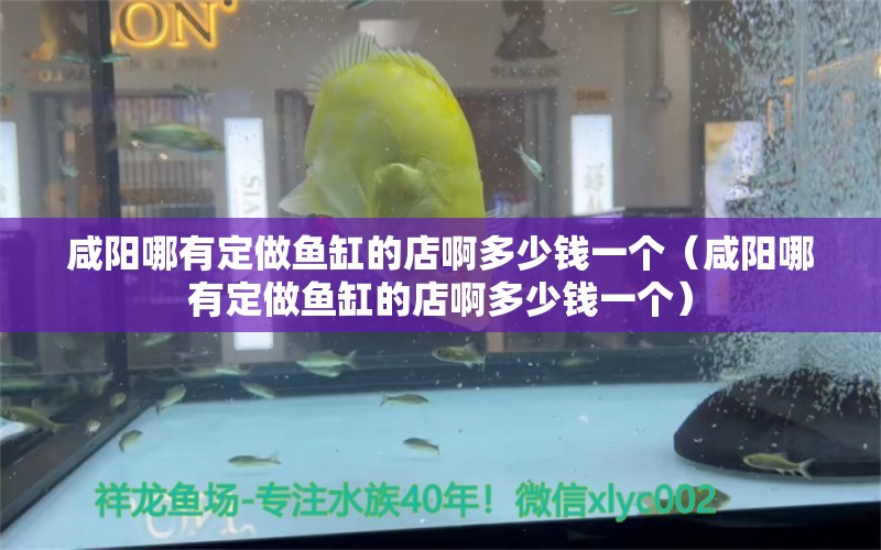 咸阳哪有定做鱼缸的店啊多少钱一个（咸阳哪有定做鱼缸的店啊多少钱一个） 水族世界