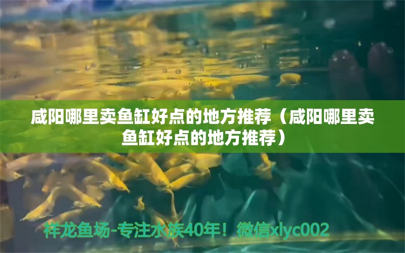 咸阳哪里卖鱼缸好点的地方推荐（咸阳哪里卖鱼缸好点的地方推荐） 广州观赏鱼批发市场