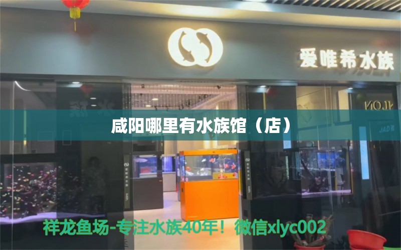 咸阳哪里有水族馆（店）