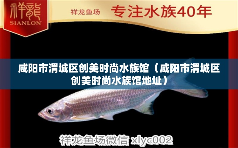 咸阳市渭城区创美时尚水族馆（咸阳市渭城区创美时尚水族馆地址）