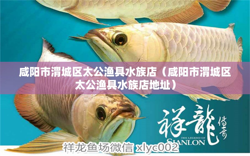 咸阳市渭城区太公渔具水族店（咸阳市渭城区太公渔具水族店地址） 全国水族馆企业名录