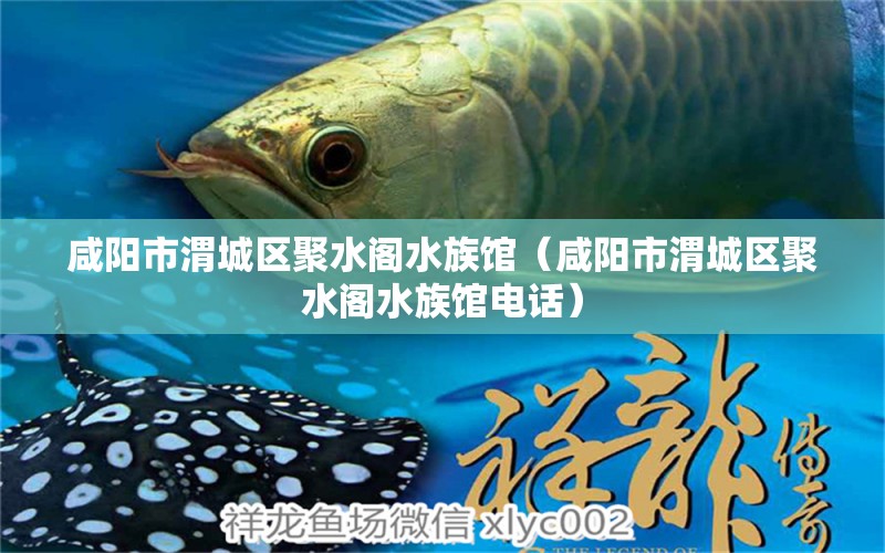 咸阳市渭城区聚水阁水族馆（咸阳市渭城区聚水阁水族馆电话）