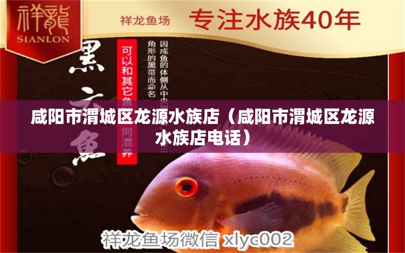 咸阳市渭城区龙源水族店（咸阳市渭城区龙源水族店电话） 全国水族馆企业名录