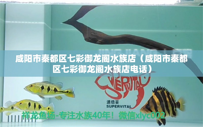 咸阳市秦都区七彩御龙阁水族店（咸阳市秦都区七彩御龙阁水族店电话）