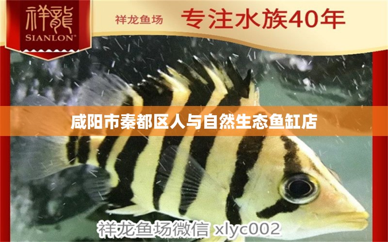 咸阳市秦都区人与自然生态鱼缸店 全国水族馆企业名录