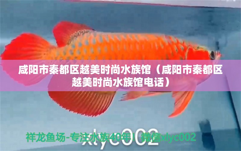 咸阳市秦都区越美时尚水族馆（咸阳市秦都区越美时尚水族馆电话） 全国水族馆企业名录