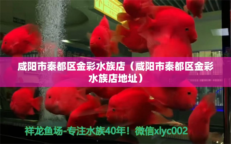 咸阳市秦都区金彩水族店（咸阳市秦都区金彩水族店地址）