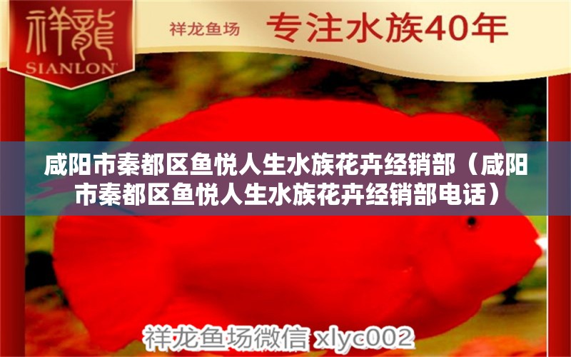 咸阳市秦都区鱼悦人生水族花卉经销部（咸阳市秦都区鱼悦人生水族花卉经销部电话）