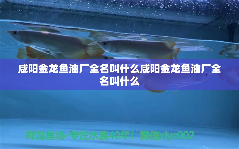 咸阳金龙鱼油厂全名叫什么咸阳金龙鱼油厂全名叫什么