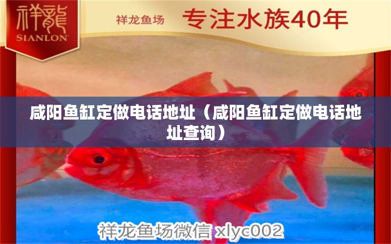 咸阳鱼缸定做电话地址（咸阳鱼缸定做电话地址查询） 祥龙水族医院