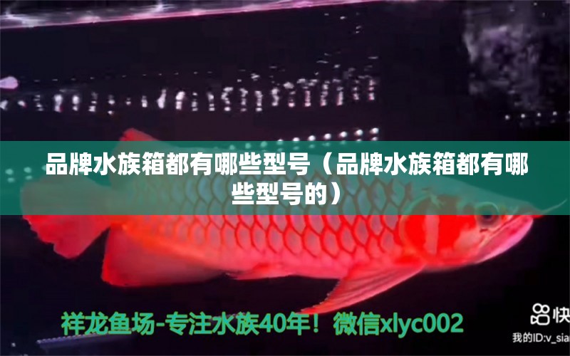 品牌水族箱都有哪些型号（品牌水族箱都有哪些型号的） 鱼缸/水族箱