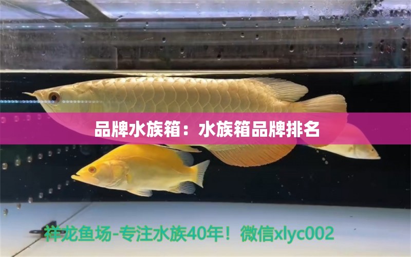 品牌水族箱：水族箱品牌排名 鱼缸/水族箱