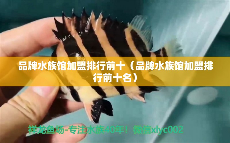 品牌水族馆加盟排行前十（品牌水族馆加盟排行前十名）