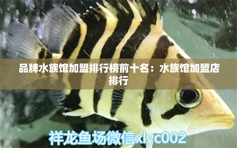 品牌水族馆加盟排行榜前十名：水族馆加盟店排行 广州龙鱼批发市场