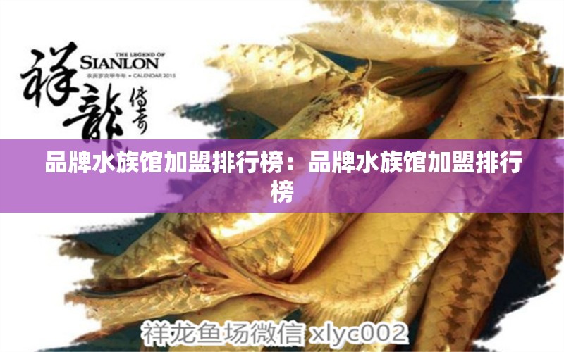 品牌水族馆加盟排行榜：品牌水族馆加盟排行榜 广州龙鱼批发市场