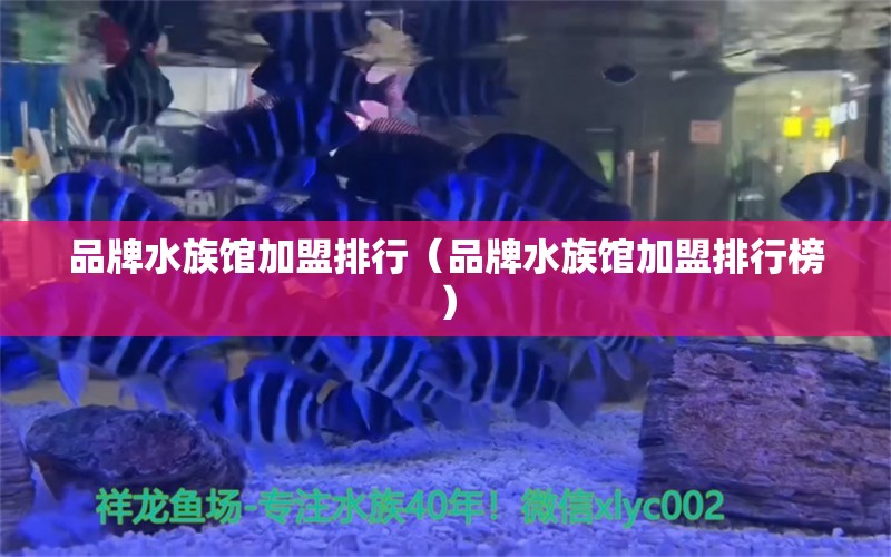 品牌水族馆加盟排行（品牌水族馆加盟排行榜） 其他品牌鱼缸