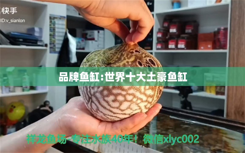 品牌鱼缸:世界十大土豪鱼缸