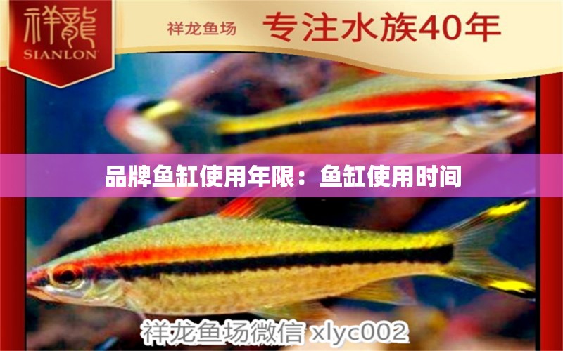 品牌鱼缸使用年限：鱼缸使用时间 广州龙鱼批发市场