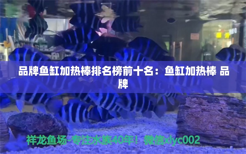 品牌鱼缸加热棒排名榜前十名：鱼缸加热棒 品牌