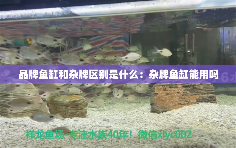 品牌鱼缸和杂牌区别是什么：杂牌鱼缸能用吗