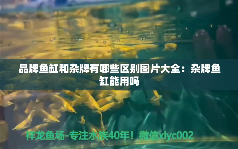 品牌鱼缸和杂牌有哪些区别图片大全：杂牌鱼缸能用吗