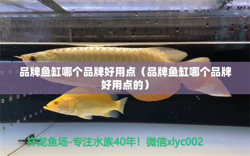 品牌鱼缸哪个品牌好用点（品牌鱼缸哪个品牌好用点的）