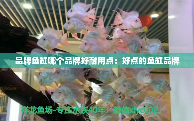 品牌鱼缸哪个品牌好耐用点：好点的鱼缸品牌 广州龙鱼批发市场