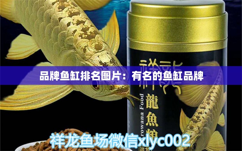 品牌鱼缸排名图片：有名的鱼缸品牌