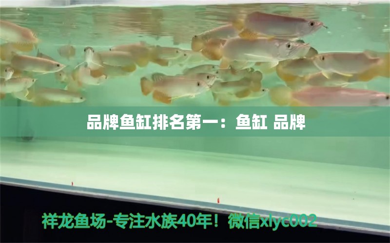 品牌鱼缸排名第一：鱼缸 品牌