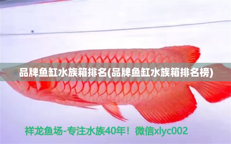 品牌鱼缸水族箱排名(品牌鱼缸水族箱排名榜)