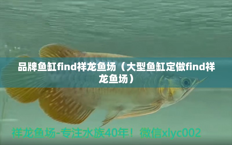 品牌鱼缸find祥龙鱼场（大型鱼缸定做find祥龙鱼场）