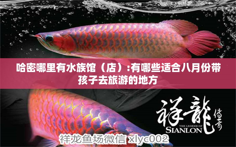 哈密哪里有水族馆（店）:有哪些适合八月份带孩子去旅游的地方