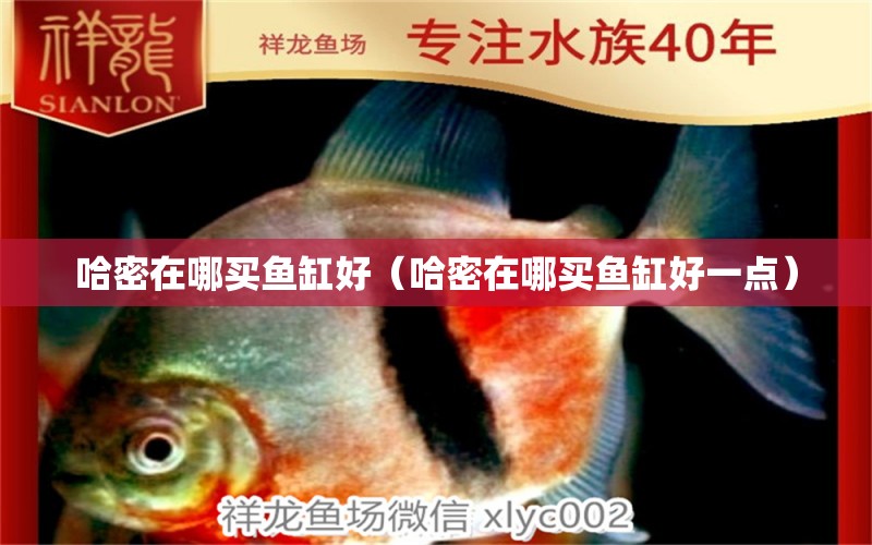 哈密在哪买鱼缸好（哈密在哪买鱼缸好一点） 祥龙水族医院