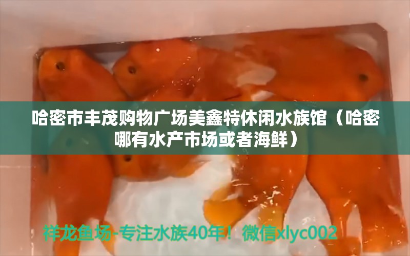 哈密市丰茂购物广场美鑫特休闲水族馆（哈密哪有水产市场或者海鲜）