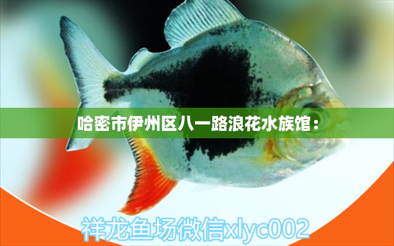 哈密市伊州区八一路浪花水族馆：