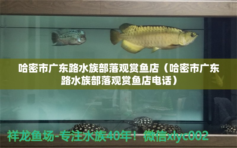 哈密市广东路水族部落观赏鱼店（哈密市广东路水族部落观赏鱼店电话）