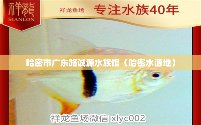 哈密市广东路诚源水族馆（哈密水源地）