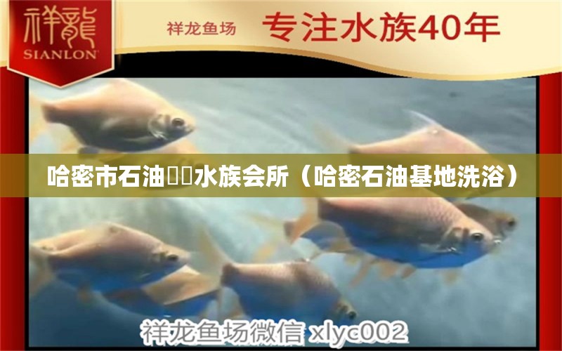 哈密市石油魟龍水族会所（哈密石油基地洗浴）